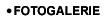 fotogalerie